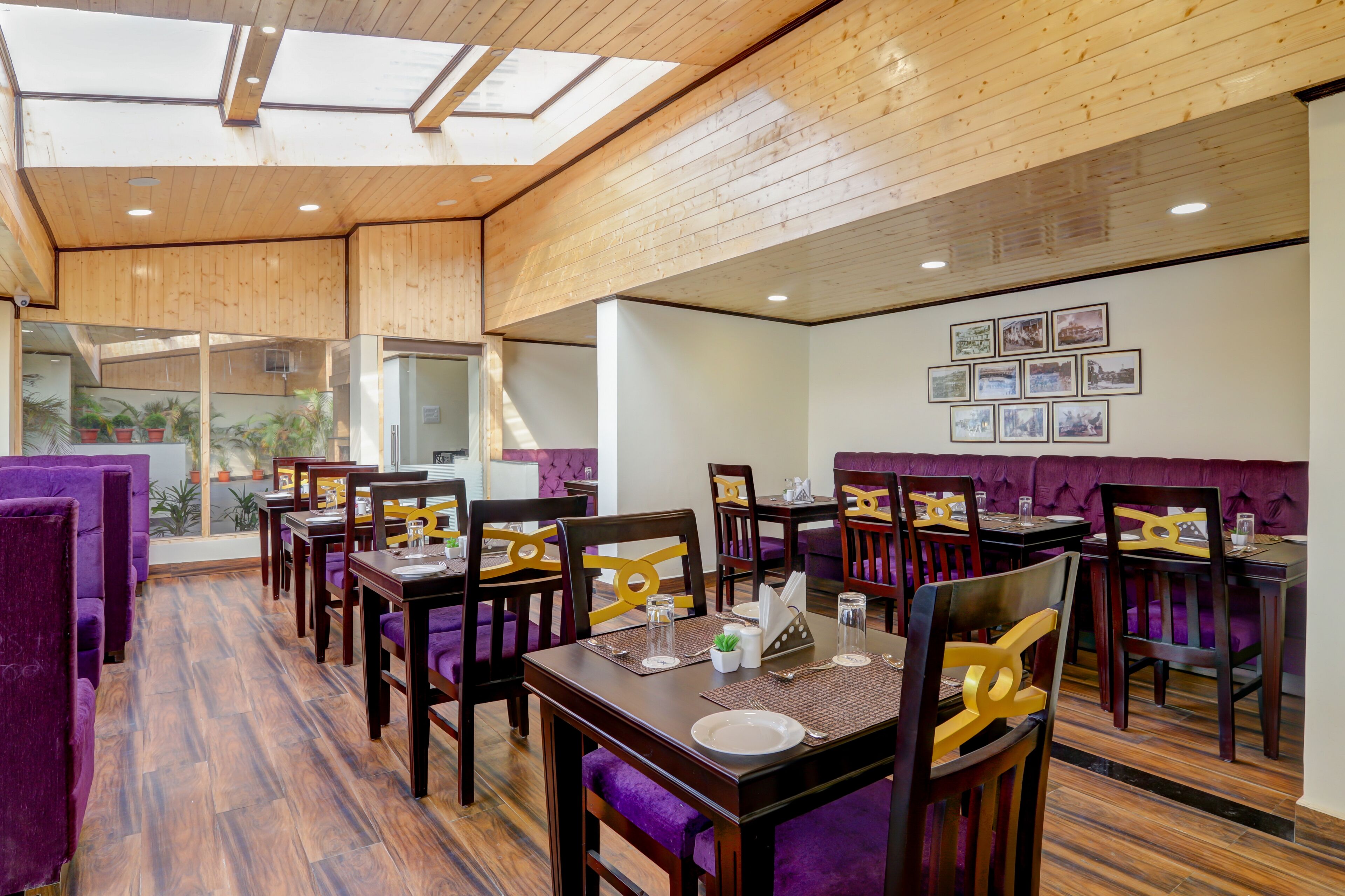 A restaurant with wooden ceiling and walls, purple seating, and a view of the outdoors.