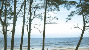 A beach with trees and the ocean. - Ferienwohnung Meeresrausch in Ahlbeck (Ahlbeck)