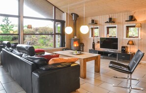 Fernseher, Kamin, DVD-Player
