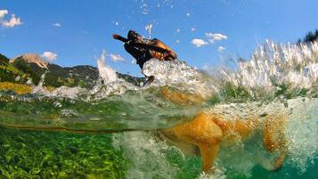 Divers