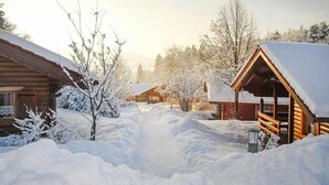 A snow-covered wooden cabin with a snow-covered path leading to it. - Blockhäuser in Stamsried (Stamsried)