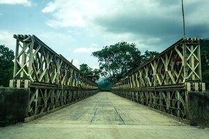 Un puente largo y estrecho con estructura metálica en forma de celosía, rodeado de vegetación.
