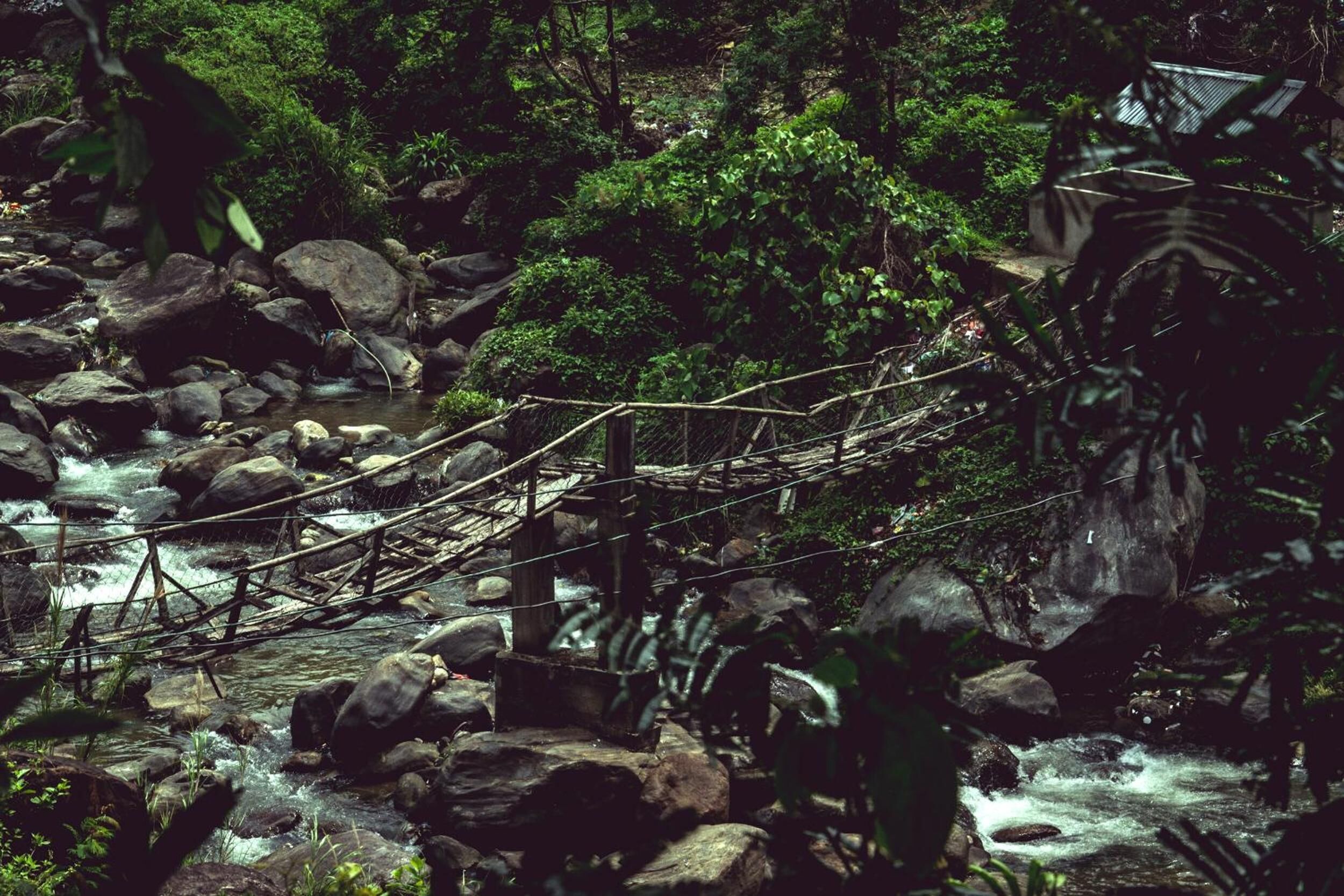 Un puente de madera rústico sobre un arroyo pedregoso en un bosque frondoso y verde.