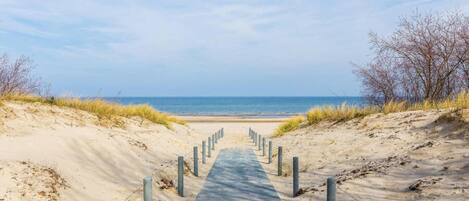 Nära stranden