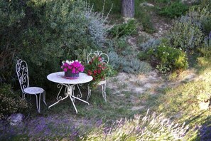 Outdoor dining - Cottage in Bellegarde near Camargue Reserve (Bellegarde)