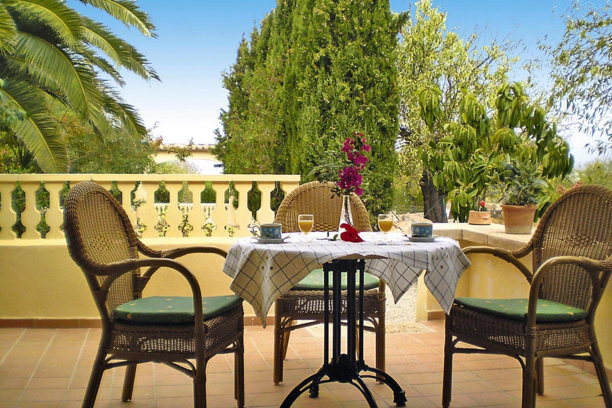 Eine Terrasse im Freien mit einem für zwei Personen gedecktem Tisch, umgeben von Korbstühlen, einer Blumenvase und Topfpflanzen.