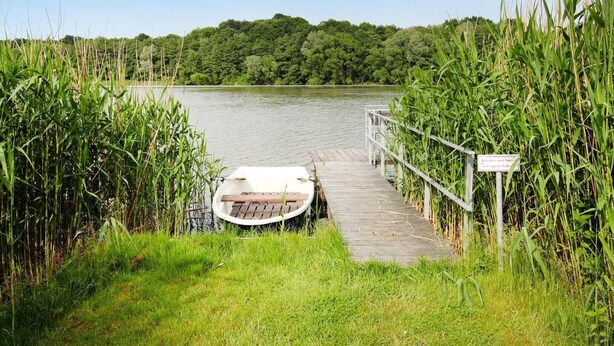 A dock with a boat, surrounded by tall grass and a forested area in the background. - Ferienwohnung, Zemitz (Zemitz)