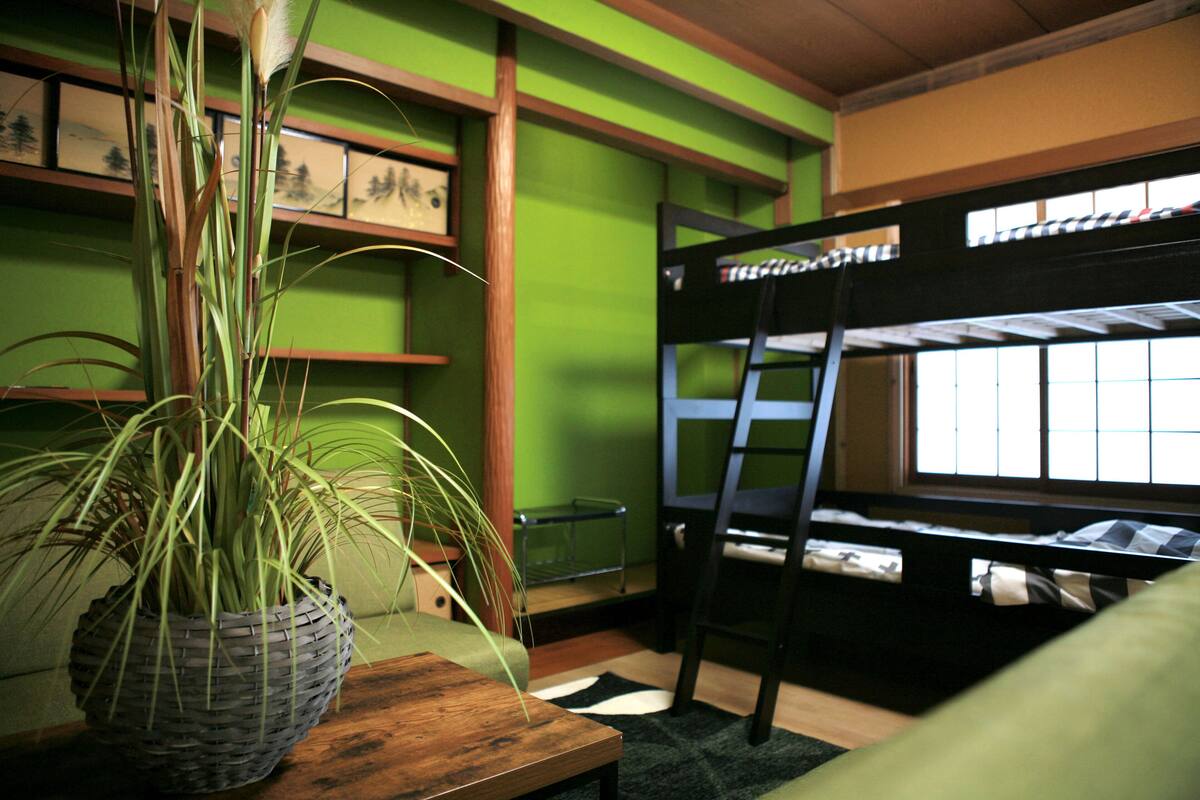 Una cama litera con ventana, una planta en maceta y una estantería con cuadros.