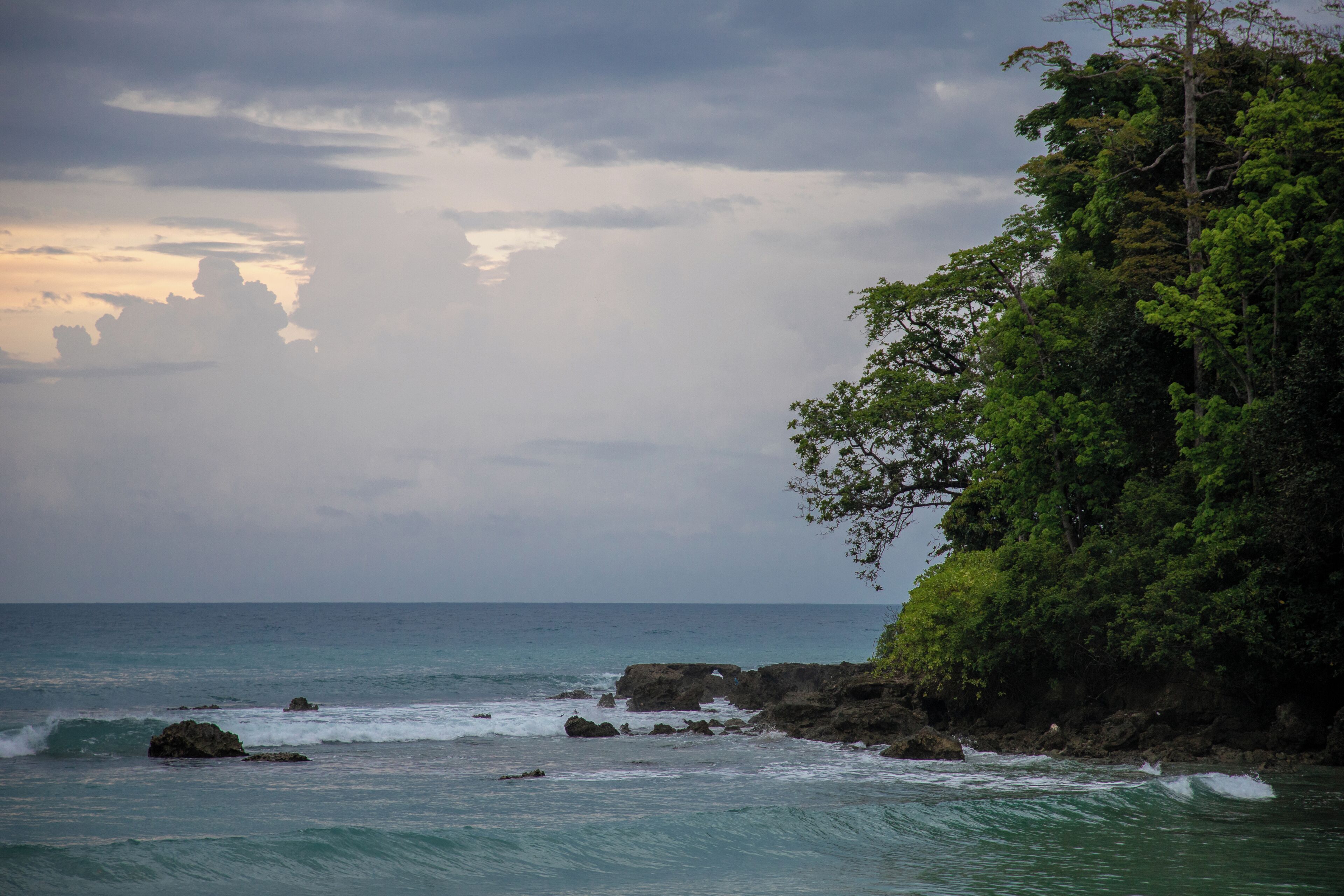 A coastal landscape with a rocky shoreline, ocean waves, and dense green foliage.