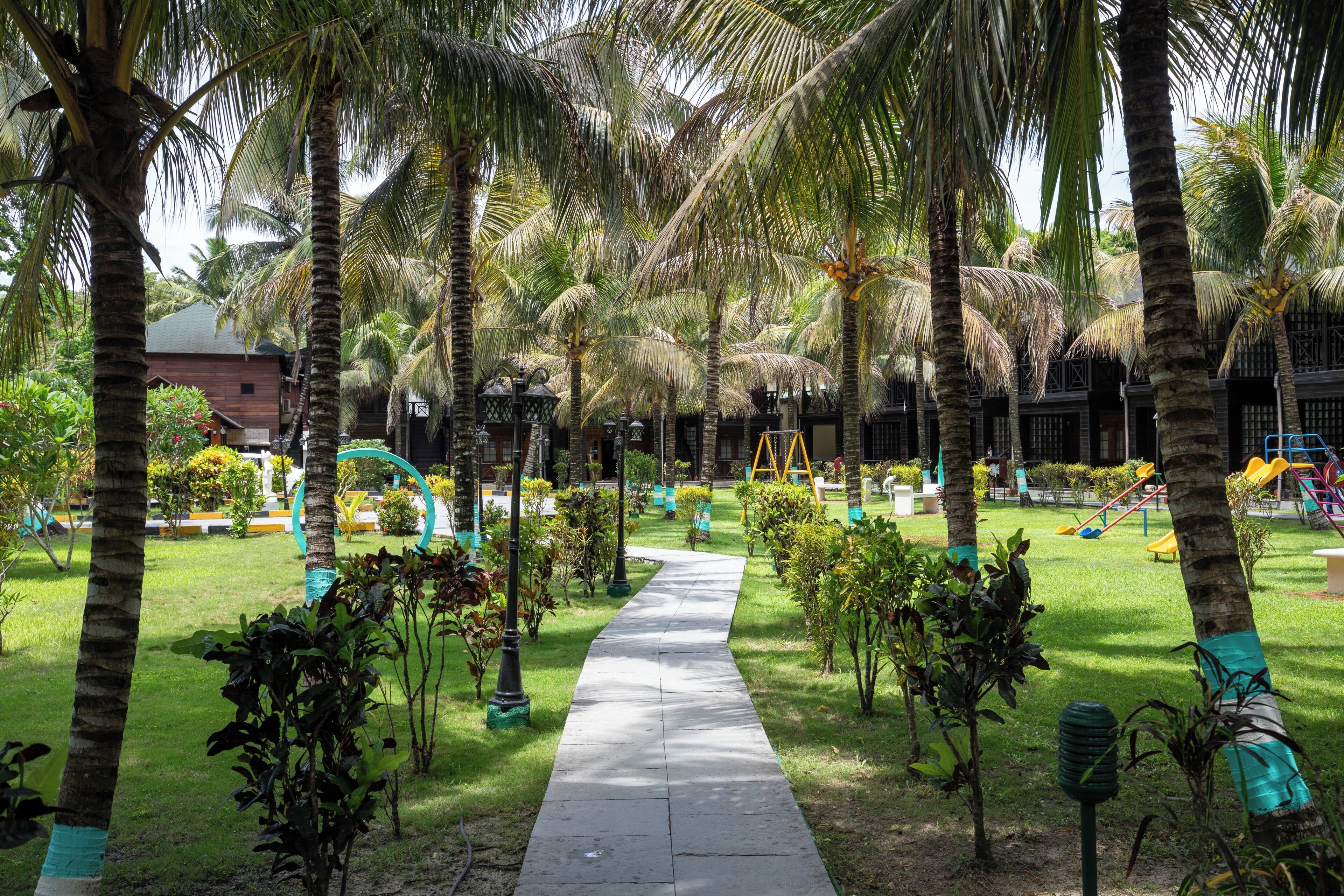 A pathway lined with palm trees and small shrubs, leading to a building with a dark facade.