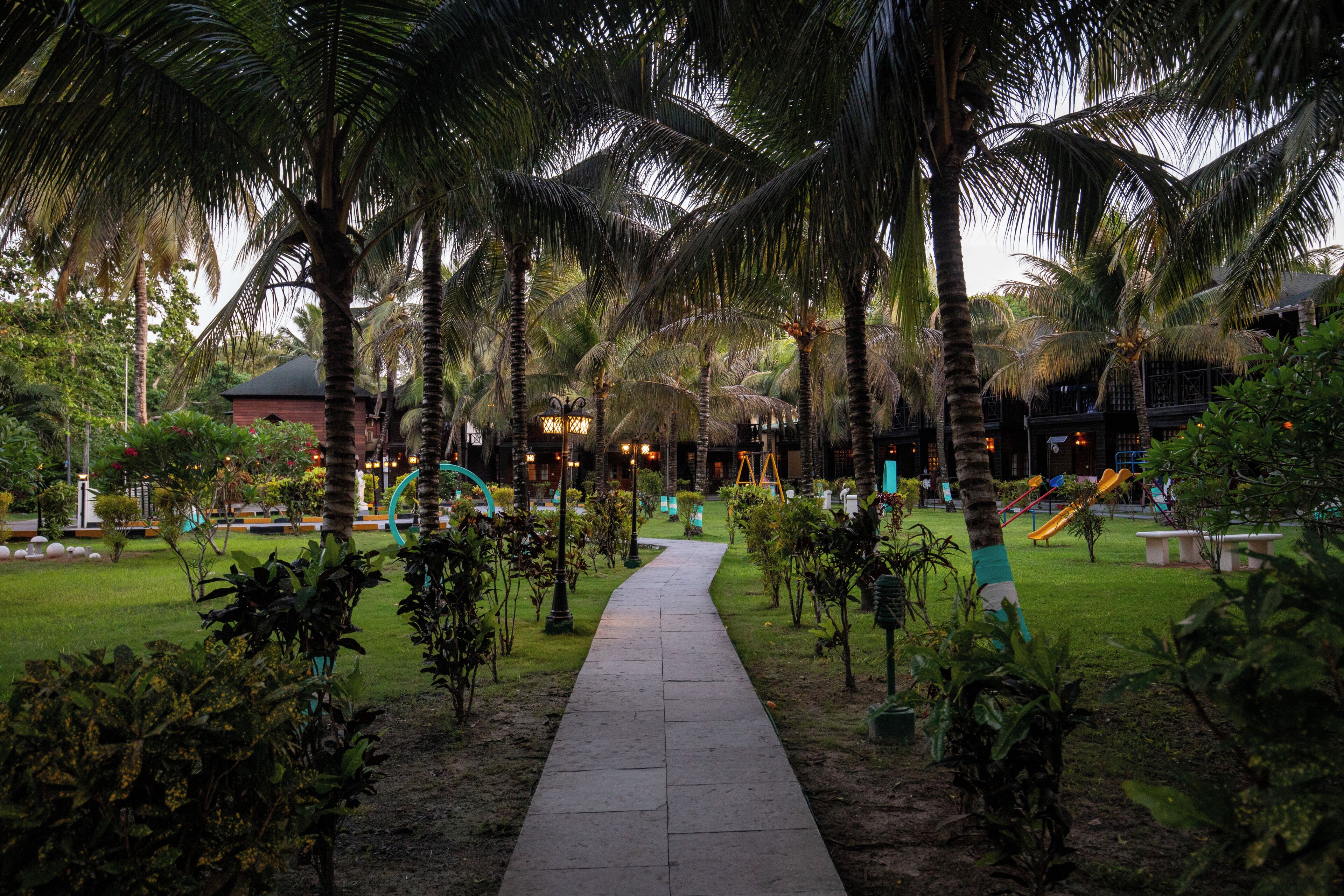 A pathway leading through a garden with palm trees and a playground.