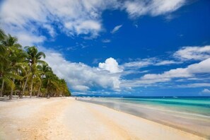 Une plage avec un ciel dégagé, des palmiers et une rive sablonneuse.
