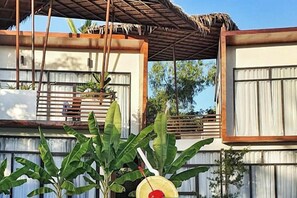 A building with a thatched roof, wooden walls, and a window with curtains. - Bird of Paradise (Panglao)