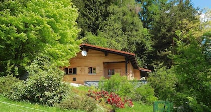 Blockhaus in Rinchnach mit Panoramablick