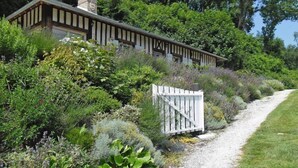 Un bâtiment traditionnel, doté d’un toit en pente et d’une cheminée, entouré d’une végétation luxuriante et bordé d’un chemin de gravier.
