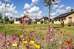 Een woonwijk met meerdere huizen, een gazon en bloeiende planten.
