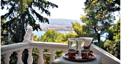 Poros Pine Villa