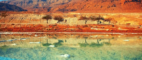 A clear lake with a mountain in the background and a few trees along the shore.