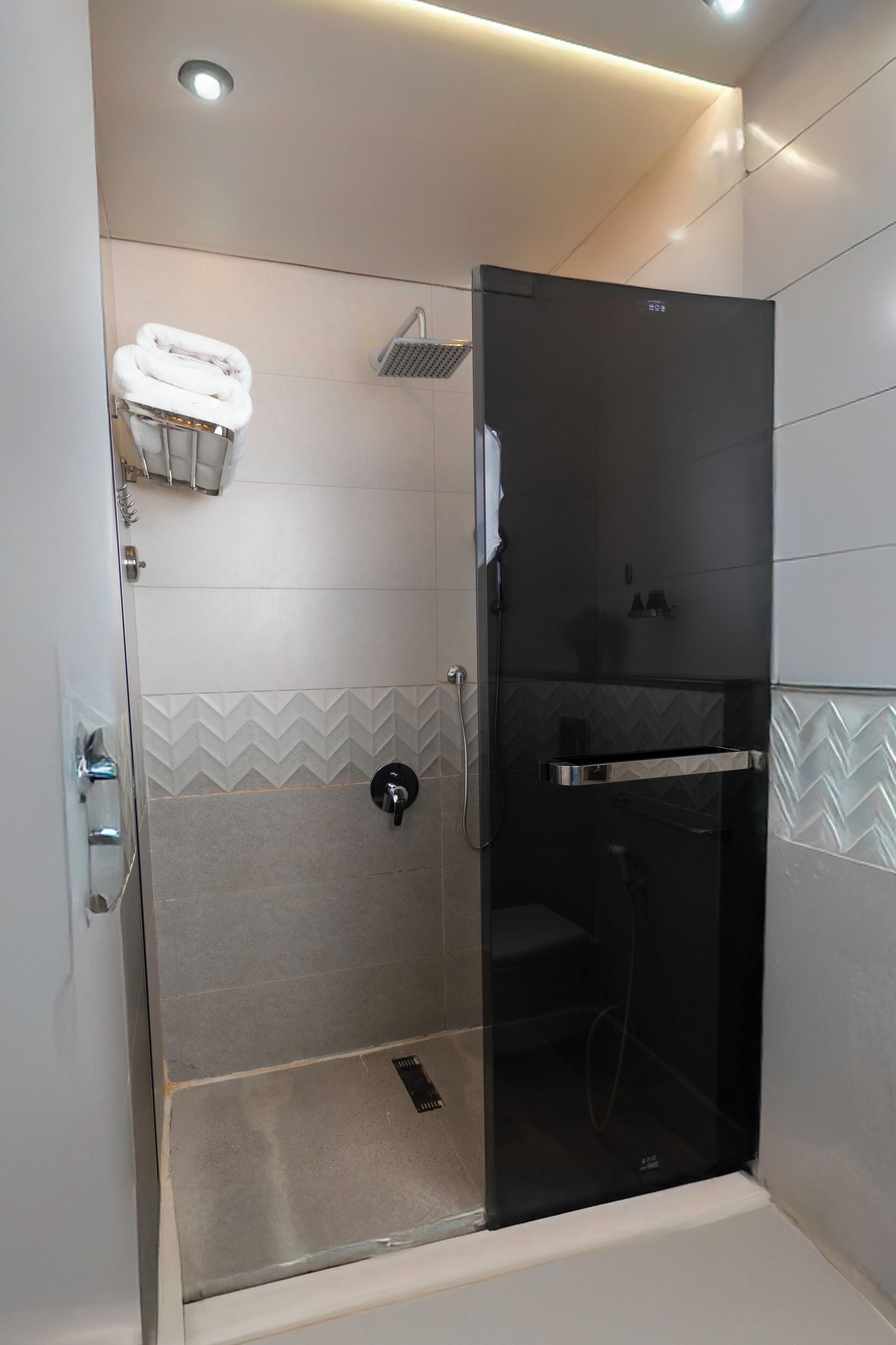 A modern shower enclosure with a glass door, a towel rack, and a showerhead.