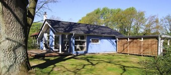 Ferienhaus Seeadler mit Sauna am Dümmer See