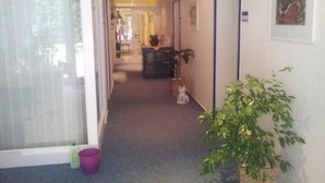 A hallway with a carpeted floor, a door on the right, and a plant on the left. - Hotel Landhaus Wachendorf (Bruchhausen-Vilsen)
