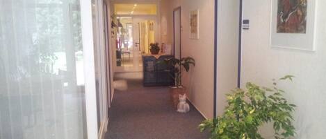 A hallway with a carpeted floor, a door on the right, and a plant on the left.