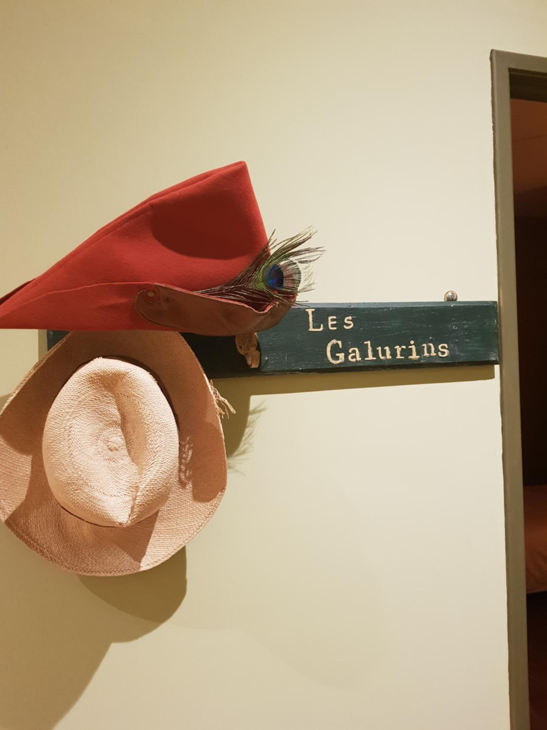 A wall-mounted hat rack with two hats and a sign reading "LES GALURIUS".