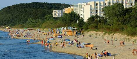 بالقرب من الشاطئ