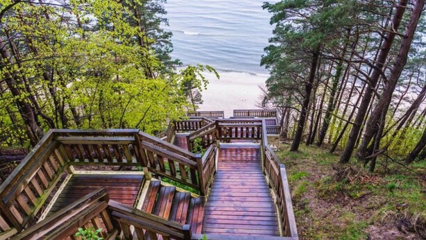 A wooden staircase leading to a beach, surrounded by trees. - Holiday Home in Misdroy near Baltic Sea (Miedzyzdroje)