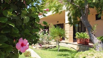 DĂ©tail de lâextĂ©rieur