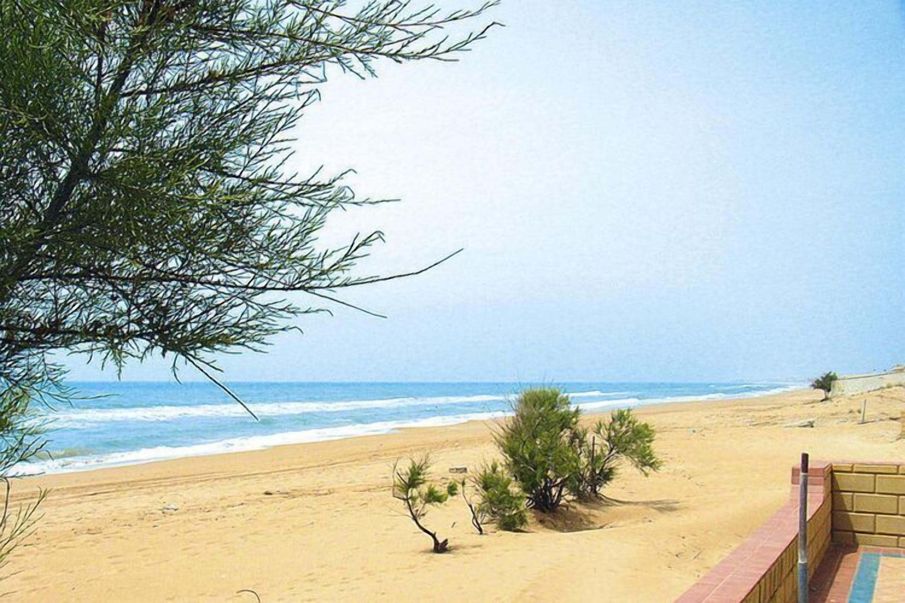 A beach with a sandy shore, a few small bushes, and a clear view of the ocean.
