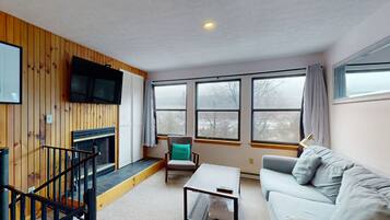 TV, fireplace, DVD player, books