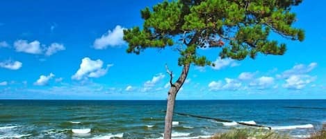 Playa en los alrededores
