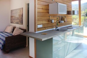 Fridge, stovetop, dishwasher, coffee/tea maker
