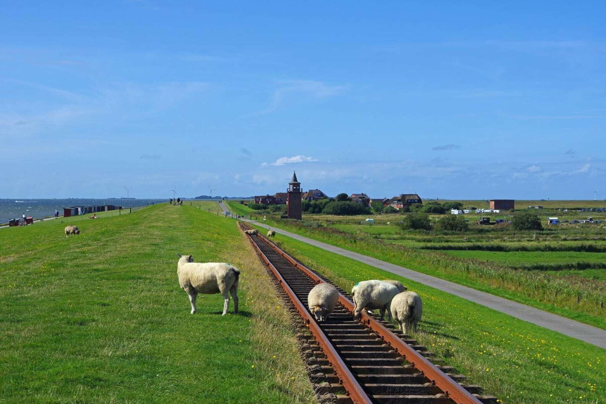 A rural landscape with a railway track, sheep grazing, and a church tower in the distance.