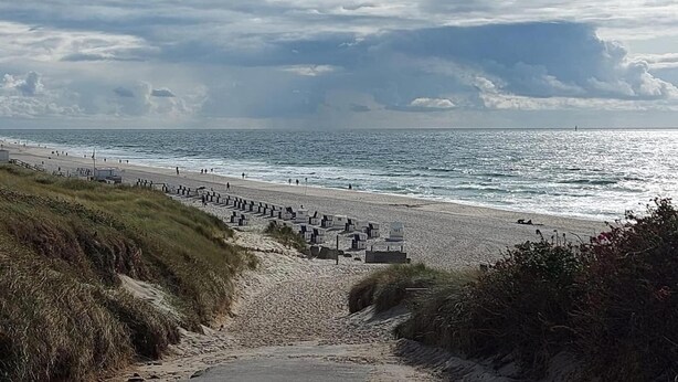 A beach with a pathway leading to the sea, featuring a series of small structures along the path.