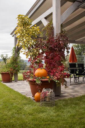 Terrace/patio - 6 Bedrooms - Szent György-hegy Residence (Hegymagas)