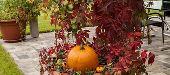 6 Bedrooms - Szent György-hegy Residence