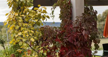 6 Schlafzimmer Villa-Bringa Lak Balaton