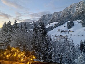 View from room - Alpbach Bergwald (Alpbach)