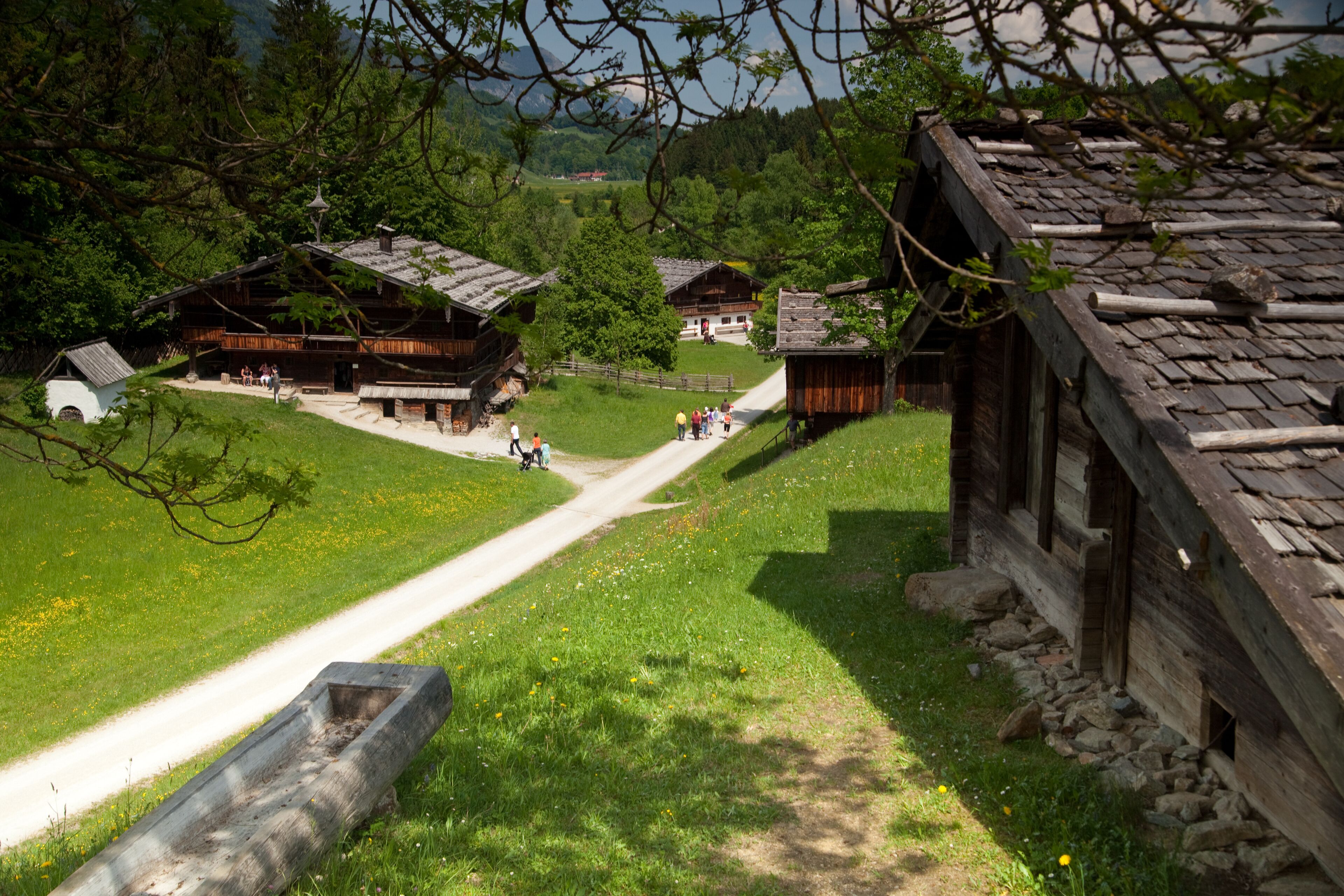 A rustic wooden building with a sloped roof, surrounded by a grassy area and trees.