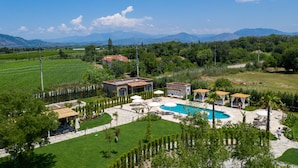 Una gran piscina al aire libre con sillones de descanso y sombrillas, rodeada de un césped y jardín bien cuidados.