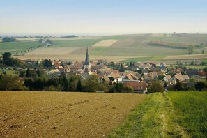 Immediate Surroundings [summer] (<1 km) - Flat in Alsace near Vosges Nature Park (Morschwiller)