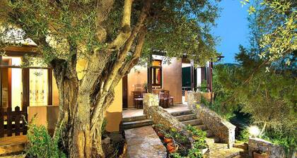 Holiday home with pool