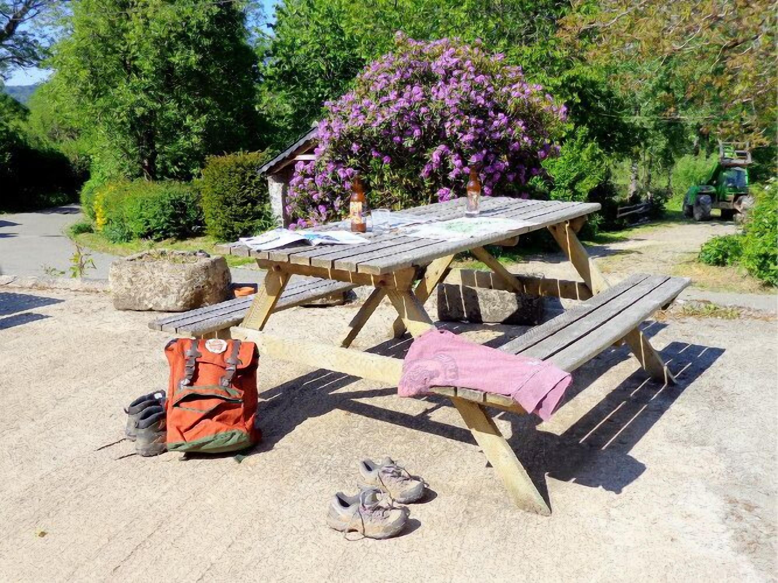 A picnic table with benches, a picnic basket, and a pair of shoes on the ground.