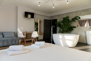 Desk, laptop workspace, soundproofing, iron/ironing board - Pensjonat Lubianka (Starachowice)