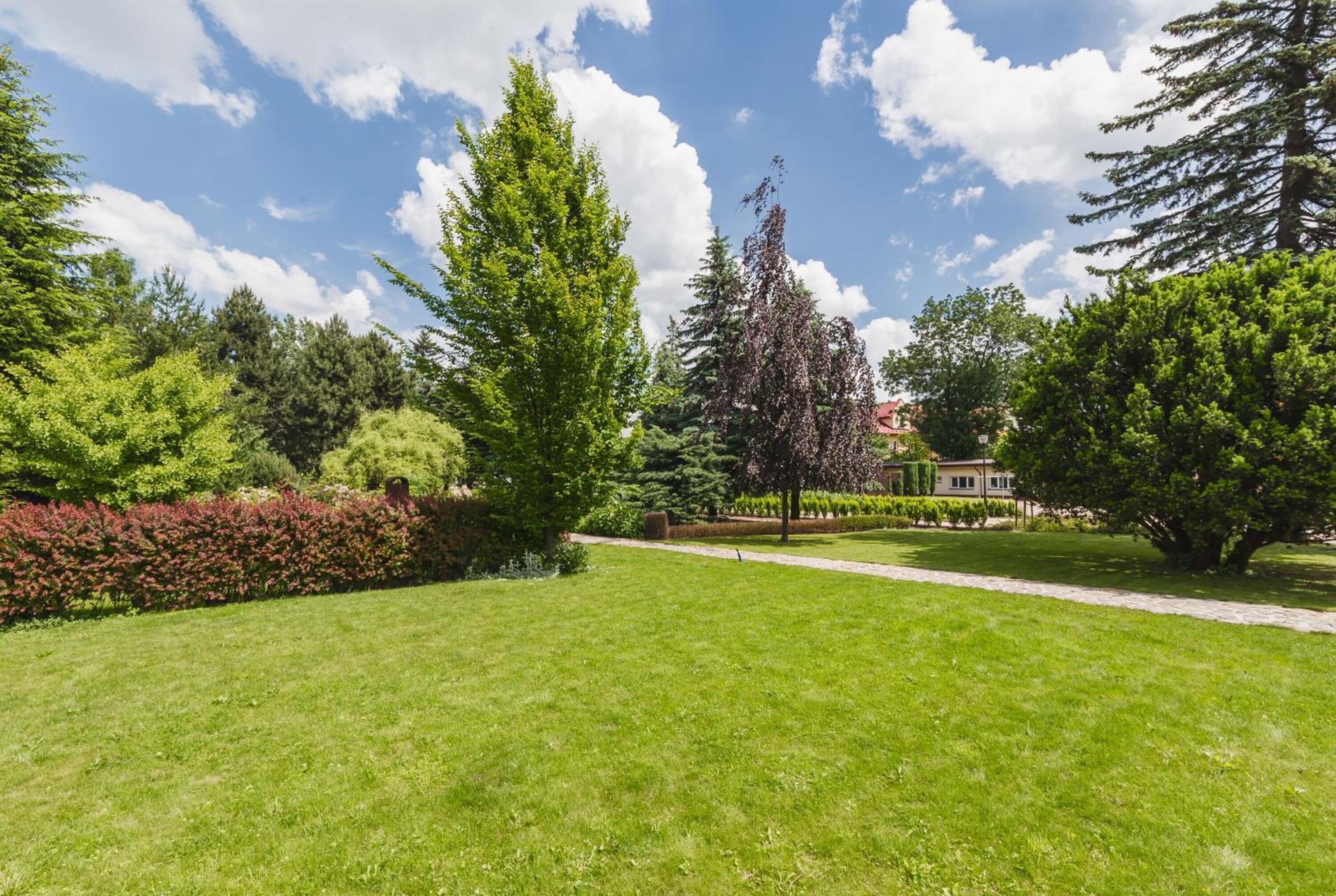 A well-maintained grassy area with a variety of trees and a clear sky.
