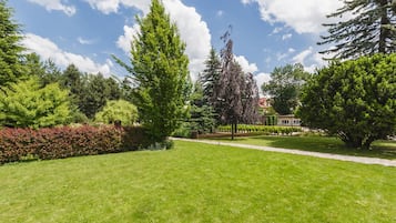 A well-maintained grassy area with a variety of trees and a clear sky.