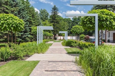 Jardines del alojamiento. Hostel Biały Dom