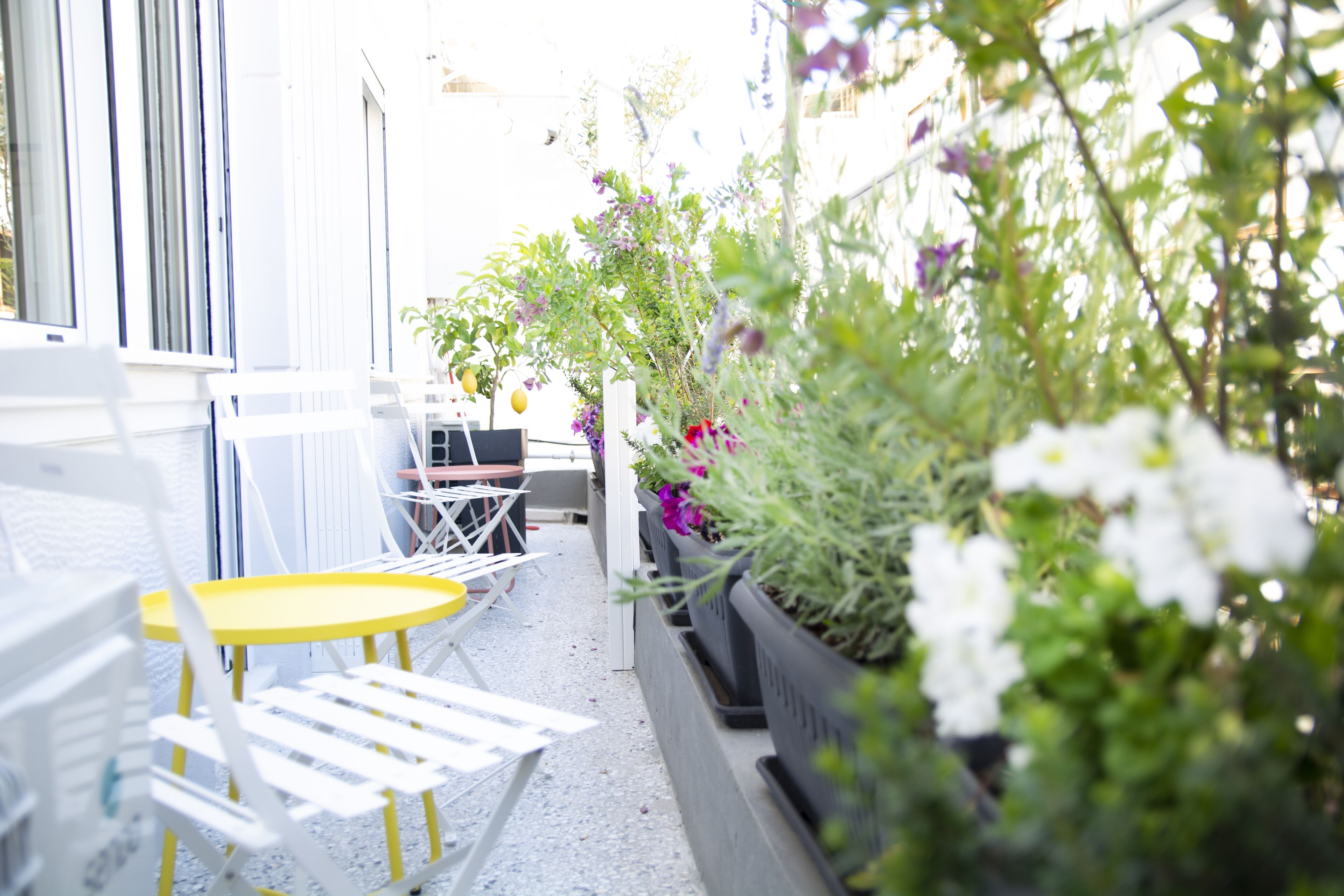 A narrow outdoor seating area with white chairs and a yellow table, surrounded by potted plants and flowers.